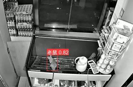 AI智能監(jiān)控算法推出新算法，老鼠再也無處可逃