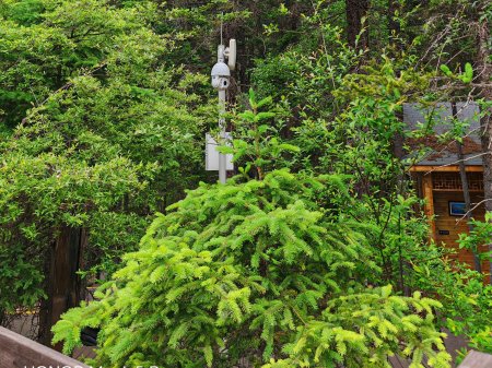 夏季來(lái)臨，AI視頻監(jiān)控新防下水算法解決管理難題